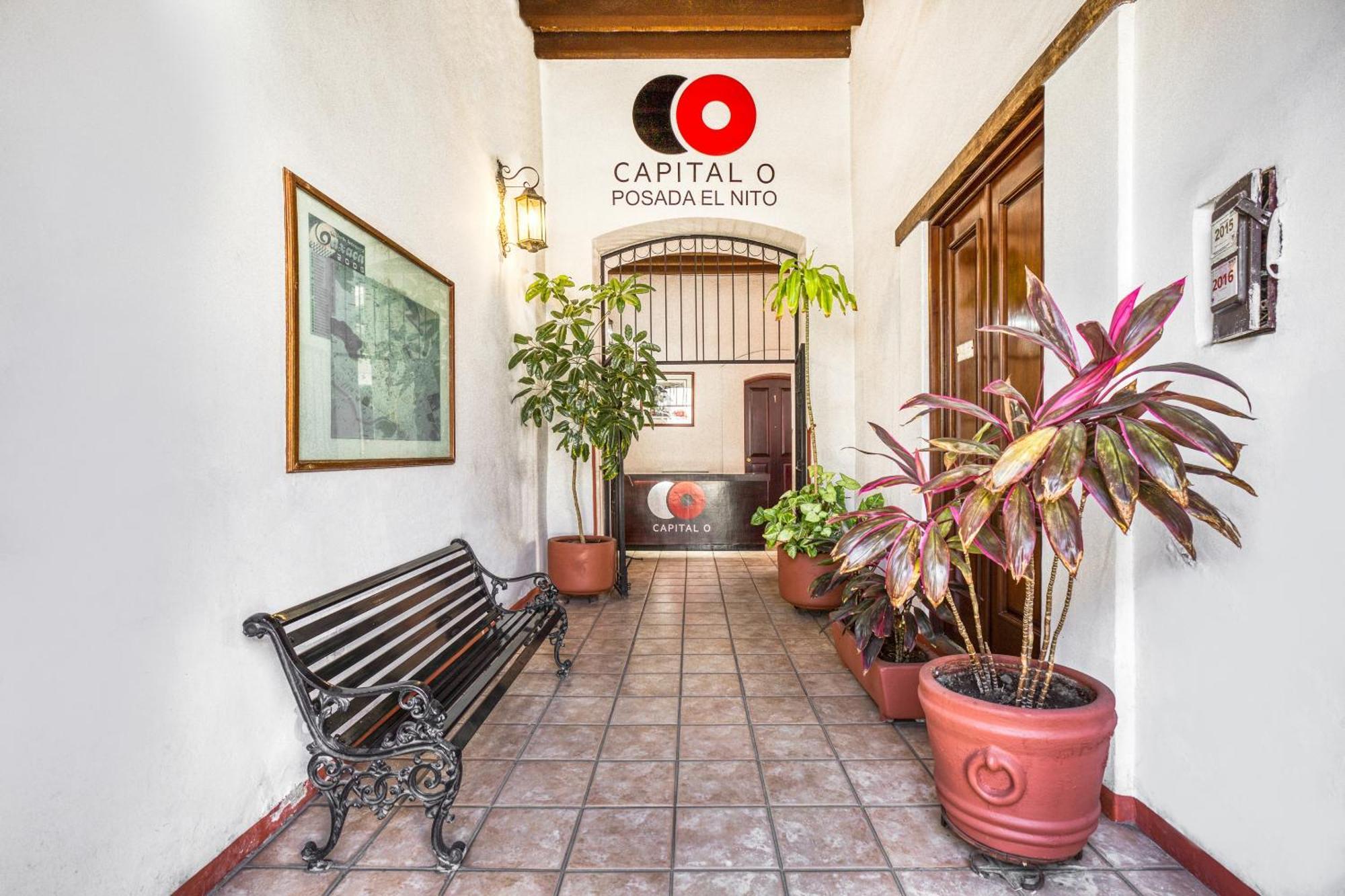 Capital O El Nito Posada Oaxaca Екстер'єр фото